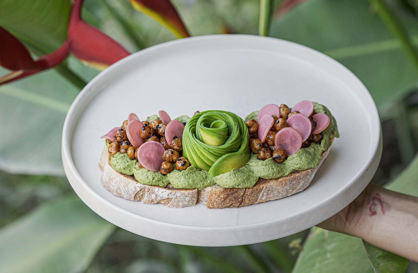 Avocado dishes served at The Avocado Factory