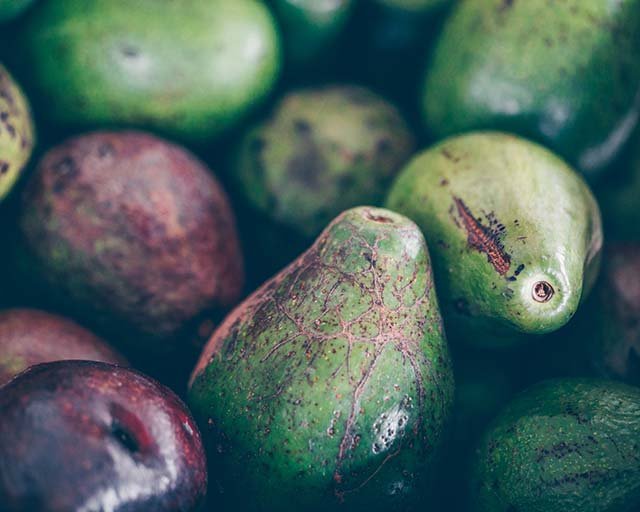 Fresh avocado dish close up