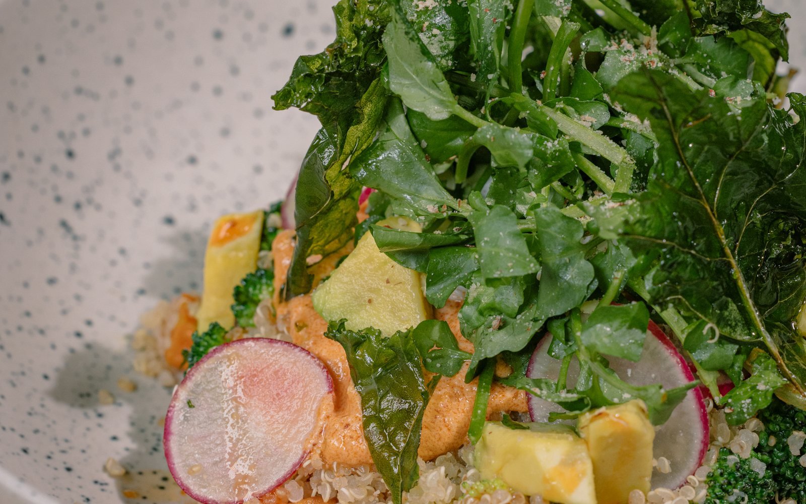 Quinoa salad bowl with avocado at The Avocado Factory