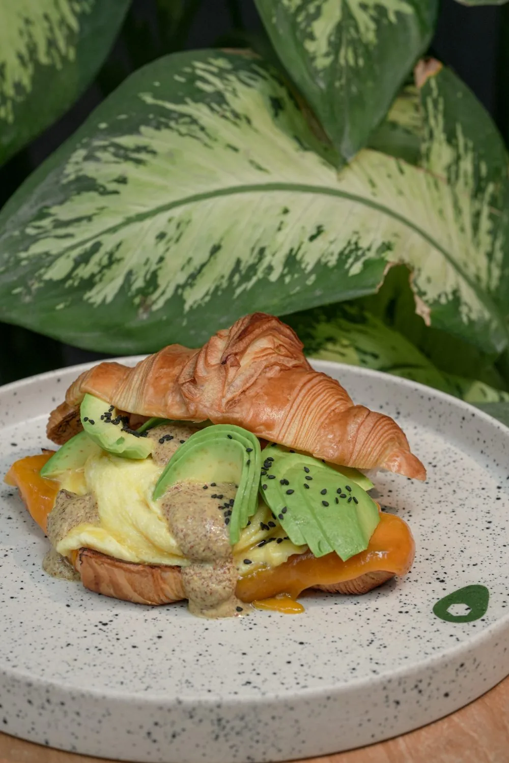 Avo Cheese Croissant