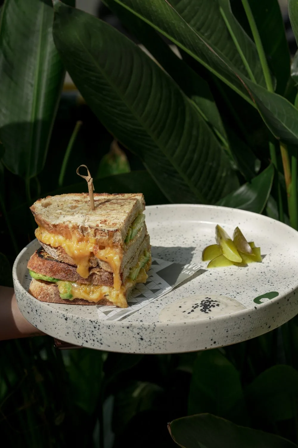 Avo Cheese Toastie