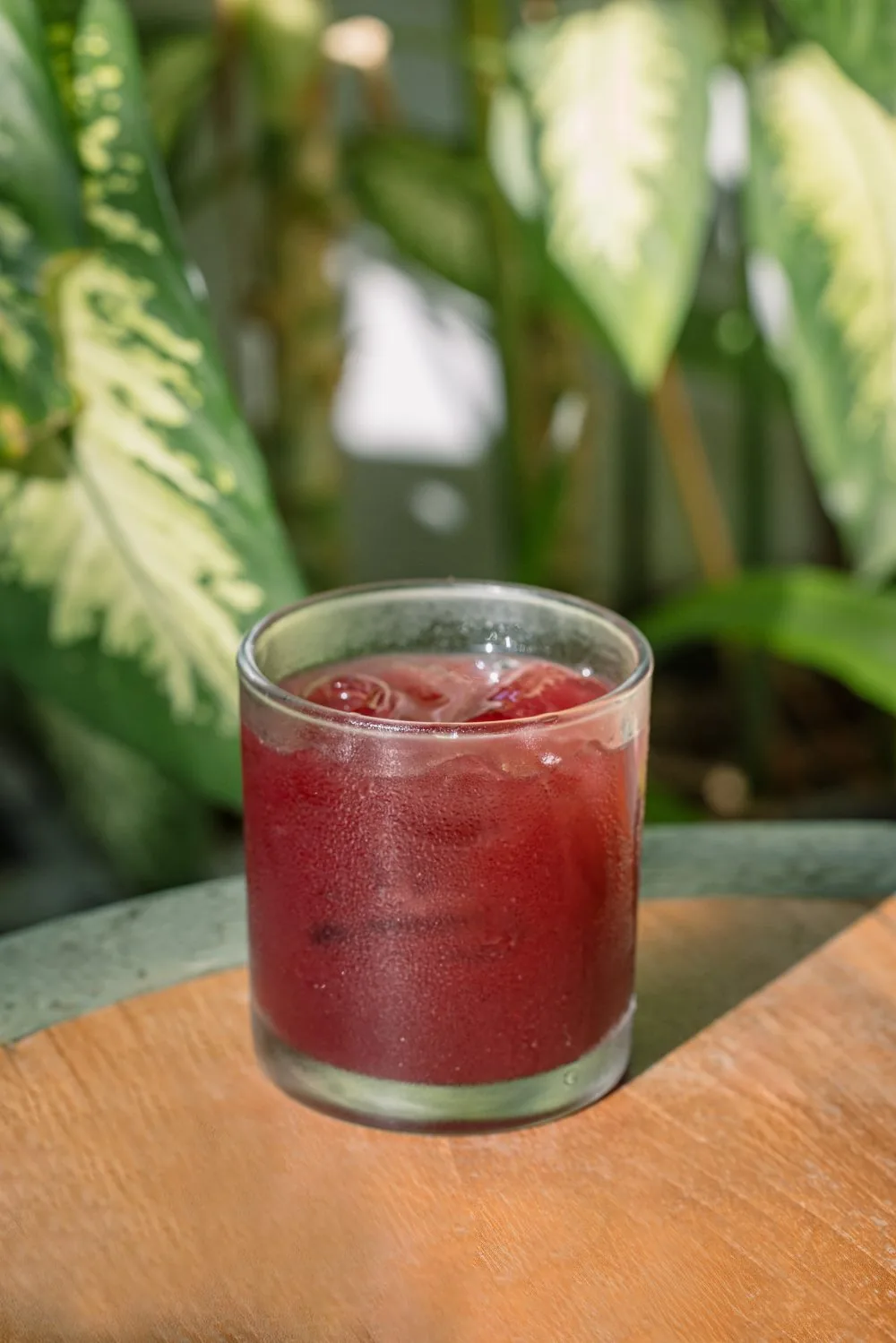 Kombucha Berries