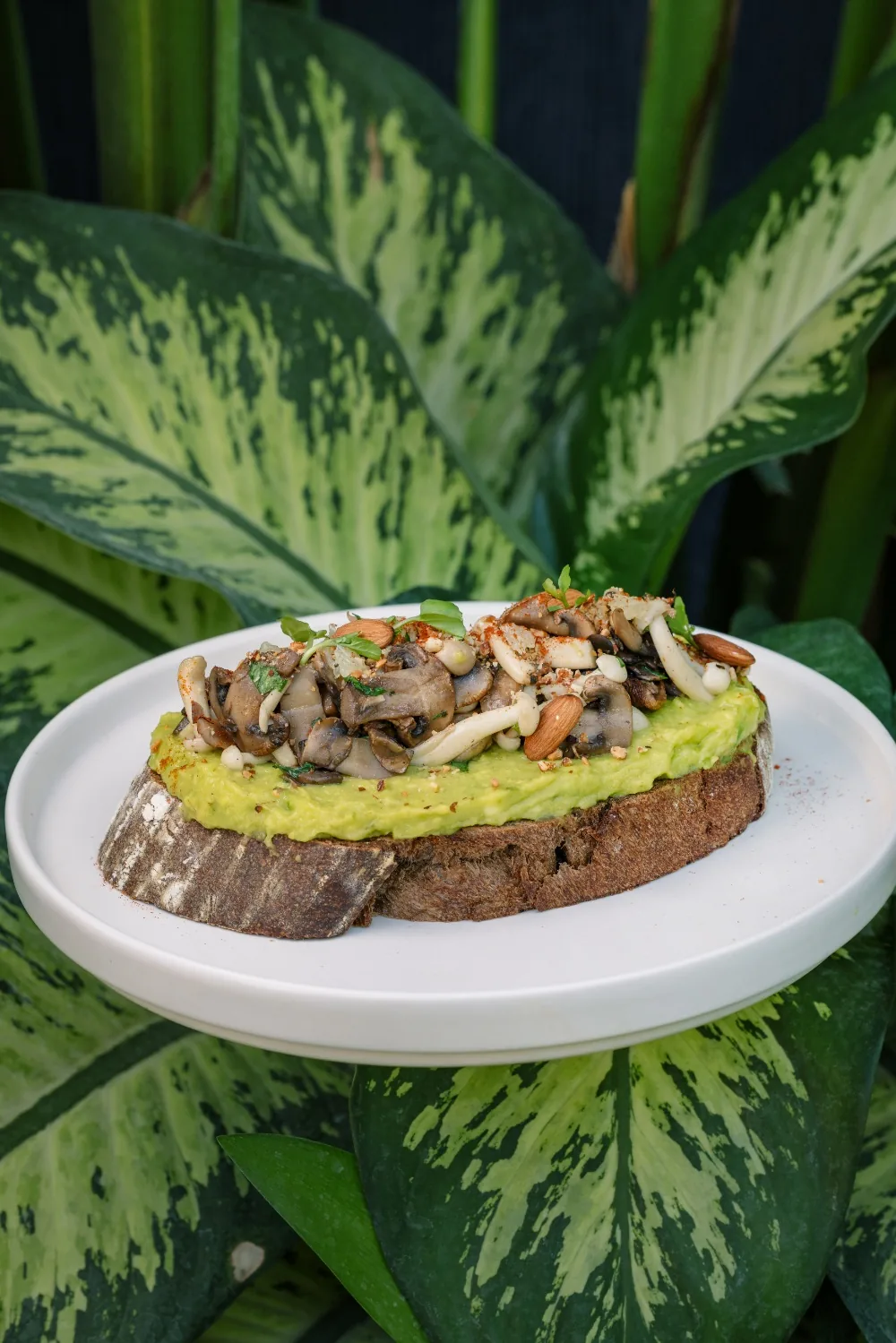 Mushroom Avo Toast