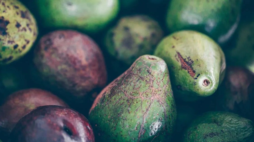 Fresh whole avocados, close up